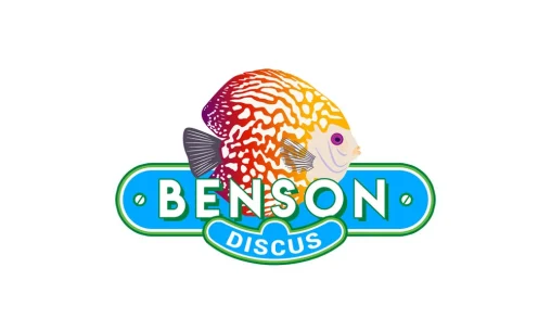 Desain logo profesional untuk Benson Discus di Palembang spesialis ikan hias Discus berkualitas